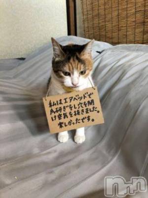 新潟人妻デリヘル 人妻不倫処　桃屋　新潟店(ヒトヅマフリンドコロモモヤ) みこと殿方の女神(48)の6月11日写メブログ「金縛り」