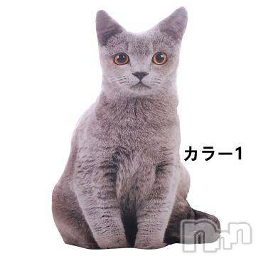 新潟人妻デリヘル 人妻不倫処　桃屋　新潟店(ヒトヅマフリンドコロモモヤ) みこと殿方の女神(48)の10月18日写メブログ「猫型クッション」