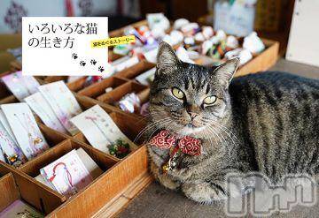 新潟人妻デリヘル 人妻不倫処　桃屋　新潟店(ヒトヅマフリンドコロモモヤ) みこと殿方の女神(48)の2月3日写メブログ「ふたつの願い」