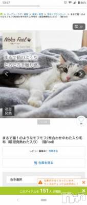 新潟人妻デリヘル 人妻不倫処　桃屋　新潟店(ヒトヅマフリンドコロモモヤ) みこと殿方の女神(48)の10月21日写メブログ「猫毛布」