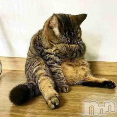 新潟人妻デリヘル 人妻不倫処　桃屋　新潟店(ヒトヅマフリンドコロモモヤ) みこと殿方の女神(48)の3月19日写メブログ「まさかの」