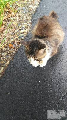 新潟デリヘル 人妻不倫処　桃屋　新潟店(ヒトヅマフリンドコロモモヤ) みこと殿方の女神(48)の12月23日写メブログ「出勤予定あげてます😉」