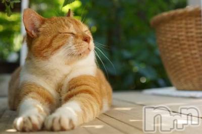 新潟デリヘル 人妻不倫処　桃屋　新潟店(ヒトヅマフリンドコロモモヤ) みこと殿方の女神(48)の1月5日写メブログ「寒っ」