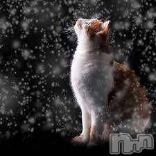 新潟デリヘル 人妻不倫処　桃屋　新潟店(ヒトヅマフリンドコロモモヤ) みこと殿方の女神(48)の2月4日写メブログ「2月」