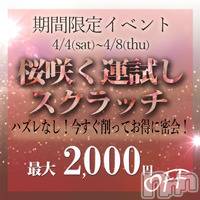 新潟デリヘルBIANCA～主人の知らない私～新潟店(ビアンカニイガタテン)の4月6日お店速報「◆春のイベント！【桜咲く！運試しスクラッチ】開催」