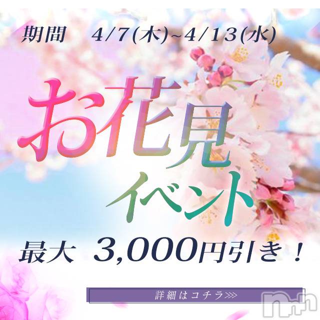 新潟デリヘル(ビアンカニイガタテン)の2022年4月12日お店速報「＊＊お花見キャンペーン開催！＊＊」