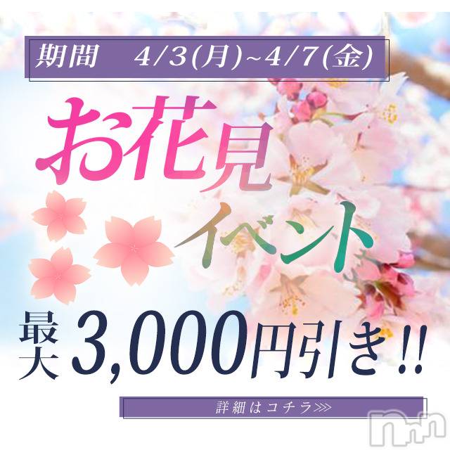 新潟デリヘル(ビアンカニイガタテン)の2023年4月4日お店速報「＊＊お花見キャンペーン開催！＊＊」