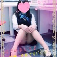 新潟デリヘル BIANCA～主人の知らない私～新潟店(ビアンカニイガタテン)の4月16日お店速報「☆午前も午後も見逃せない！ご予約が必須！☆」