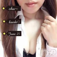 新潟デリヘル BIANCA～主人の知らない私～新潟店(ビアンカニイガタテン)の7月12日お店速報「体験入店や新人さんにはもうお会いになりましたか?」