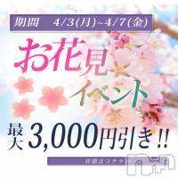 新潟デリヘル BIANCA～主人の知らない私～新潟店(ビアンカニイガタテン)の4月3日お店速報「＊＊お花見キャンペーン開催！＊＊」