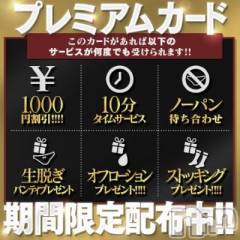 長岡デリヘルBIANCA～主人の知らない私～長岡店(ビアンカナガオカテン)の9月11日お店速報「☆newプレミアムカード絶賛配布中＆美人新人奥様2名ご出勤♪」