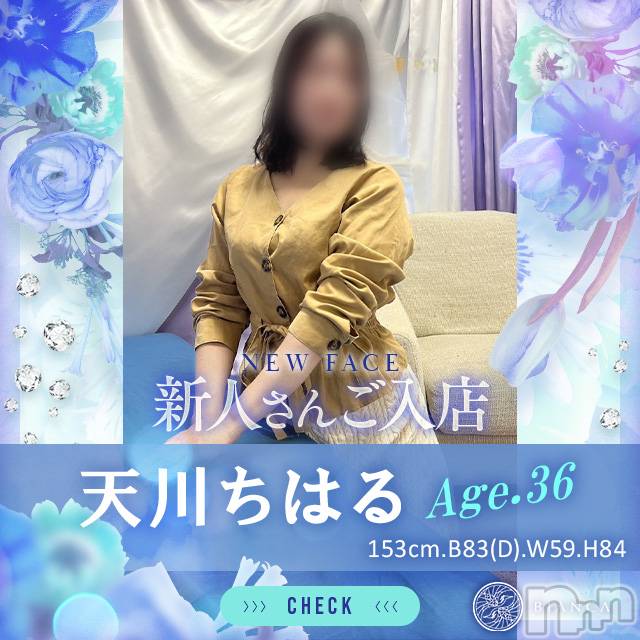 長岡デリヘル(ビアンカナガオカテン)の2025年12月18日お店速報「☆話題の新人奥様2名ご出勤＆Getしたプレカ・夜割・3つの割引でお得に♪」