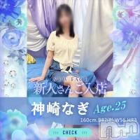 長岡デリヘル BIANCA～主人の知らない私～長岡店(ビアンカナガオカテン)の4月4日お店速報「☆幼さの残るスレンダーな若奥様本日出勤2日目♪」