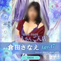 長岡デリヘル BIANCA～主人の知らない私～長岡店(ビアンカナガオカテン)の8月7日お店速報「☆ご入店間もない新人奥様多数ご出勤＆19時以降は夜割でお得に♪」