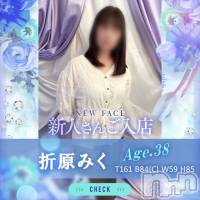長岡人妻デリヘル BIANCA～主人の知らない私～長岡店(ビアンカナガオカテン)の8月1日お店速報「☆色白美肌の新人奥様初出勤＆話題の新人奥様3名ご出勤♪」