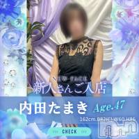 長岡デリヘル BIANCA～主人の知らない私～長岡店(ビアンカナガオカテン)の11月26日お店速報「☆話題の新人奥様3名ご出勤＆大切なお知らせ♪」