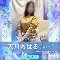 長岡デリヘル BIANCA～主人の知らない私～長岡店(ビアンカナガオカテン)の12月18日お店速報「☆話題の新人奥様2名ご出勤＆Getしたプレカ・夜割・3つの割引でお得に♪」