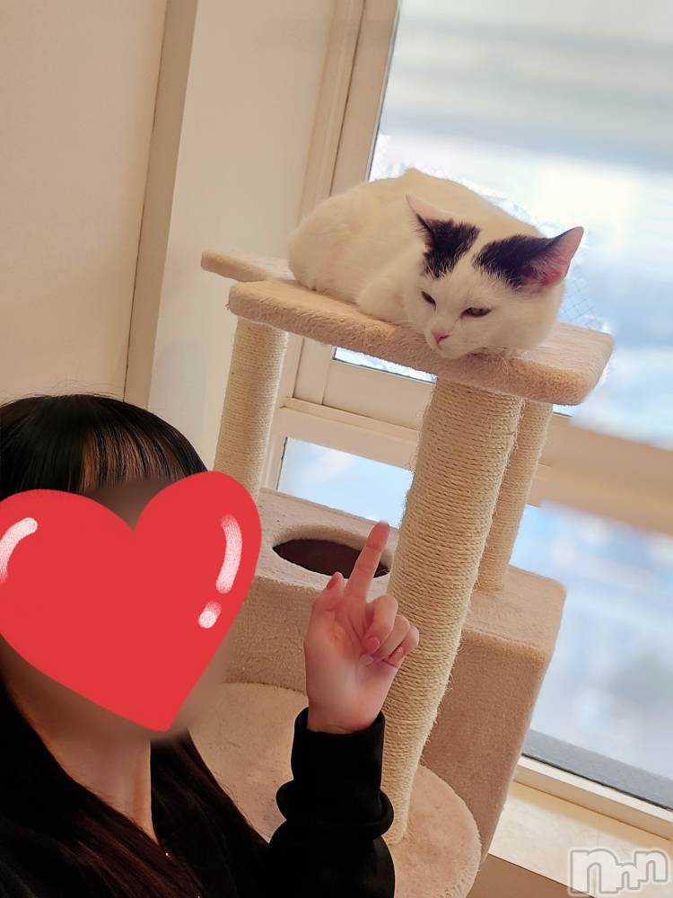 三条デリヘル人妻じゅんちゃん-出稼ぎ0！地元の奥様専門-(ヒトヅマジュンチャン) 浜崎りの☆綺麗系！黒髪美女！(36)の3月27日写メブログ「お休みは…してた」