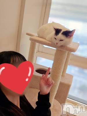 三条デリヘル 人妻じゅんちゃん-出稼ぎ0！地元の奥様専門-(ヒトヅマジュンチャン) 浜崎りの☆綺麗系！黒髪美女！(36)の3月27日写メブログ「お休みは…してた」