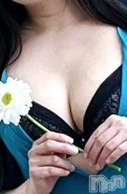 新潟デリヘルBIANCA～主人の知らない私～新潟店(ビアンカニイガタテン)香坂　あずさ(42)の2025年4月3日写メブログ「桜🌸」