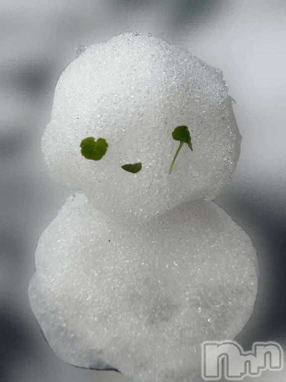 長岡デリヘルBIANCA～主人の知らない私～長岡店(ビアンカナガオカテン)仲間　ゆきみ(35)の2025年11月20日写メブログ「ゆきだるま♡」