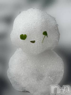 長岡デリヘル BIANCA～主人の知らない私～長岡店(ビアンカナガオカテン) 仲間　ゆきみ(35)の11月20日写メブログ「ゆきだるま♡」