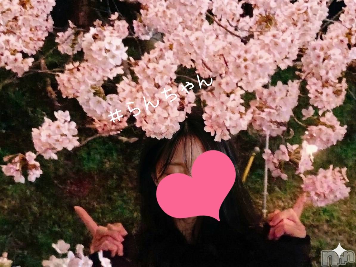 長岡デリヘルBIANCA～主人の知らない私～長岡店(ビアンカナガオカテン)宮本　らんこ(33)の2026年4月15日写メブログ「🌸【お礼日記】🌸」