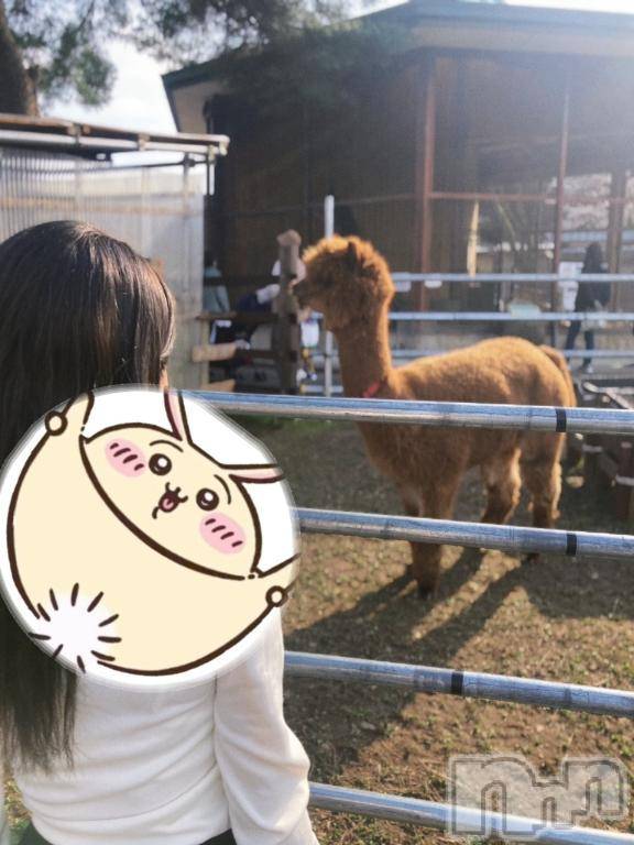 長岡デリヘルBIANCA～主人の知らない私～長岡店(ビアンカナガオカテン)宮本　らんこ(33)の2025年4月24日写メブログ「カリ高肉厚太ゴリ珍」