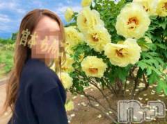 長岡デリヘルBIANCA～主人の知らない私～長岡店(ビアンカナガオカテン) 宮本　らんこ(33)の5月16日写メブログ「はやくおちんちんれろれろさせてくだしゃい」