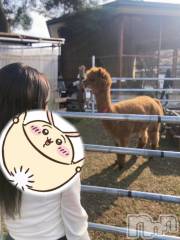 長岡デリヘルBIANCA～主人の知らない私～長岡店(ビアンカナガオカテン) 宮本　らんこ(33)の4月24日写メブログ「カリ高肉厚太ゴリ珍」