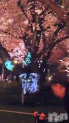 長岡デリヘルBIANCA～主人の知らない私～長岡店(ビアンカナガオカテン) 宮本　らんこ(33)の4月13日動画「ｼﾞｻ🌸( ´灬` )ﾉ」