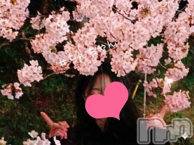 長岡デリヘル BIANCA～主人の知らない私～長岡店(ビアンカナガオカテン) 宮本　らんこ(33)の4月15日写メブログ「🌸【お礼日記】🌸」