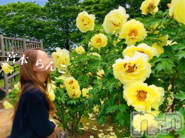 長岡デリヘル BIANCA～主人の知らない私～長岡店(ビアンカナガオカテン) 宮本　らんこ(33)の5月24日写メブログ「ズボンの上からでもわかるゴチゴチなアレ❤」