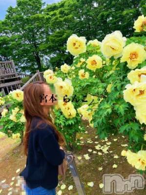 長岡デリヘル BIANCA～主人の知らない私～長岡店(ビアンカナガオカテン) 宮本　らんこ(33)の6月21日写メブログ「射精する瞬間を目撃したいんだよ(￢∀￢ )」