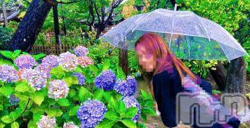 長岡デリヘル BIANCA～主人の知らない私～長岡店(ビアンカナガオカテン) 宮本　らんこ(33)の7月23日写メブログ「つい笑顔であむあむと咥えてしまう人妻です、、、」