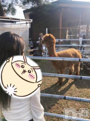 長岡デリヘル BIANCA～主人の知らない私～長岡店(ビアンカナガオカテン) 宮本　らんこ(33)の4月24日写メブログ「カリ高肉厚太ゴリ珍」