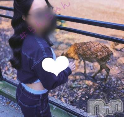 長岡デリヘル BIANCA～主人の知らない私～長岡店(ビアンカナガオカテン) 宮本　らんこ(33)の6月27日写メブログ「甘噛みおせっせ」