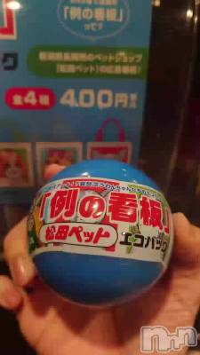 長岡デリヘル BIANCA～主人の知らない私～長岡店(ビアンカナガオカテン) 宮本　らんこ(33)の5月14日動画「＃長岡観光」