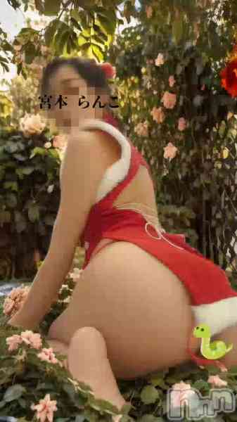 宮本　らんこの動画 新年から痴女現る！！！