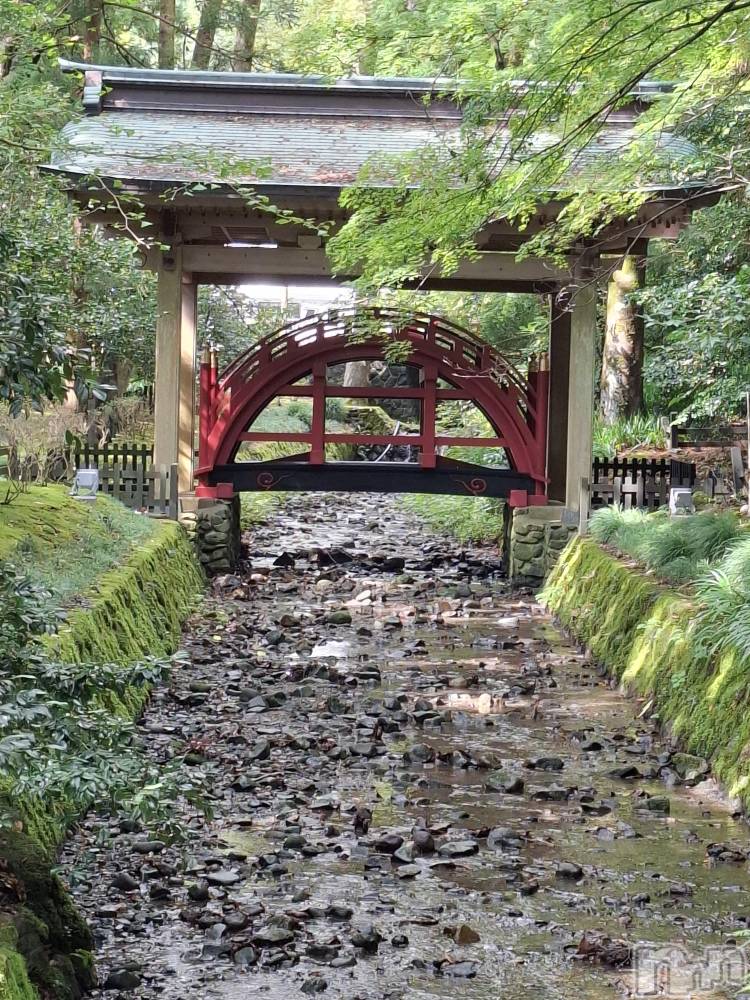 長岡デリヘルBIANCA~主人の知らない私~長岡店(ビアンカナガオカテン) 一ノ瀬 ゆま(36)の10月13日写メブログ「一ノ瀬ゆま」