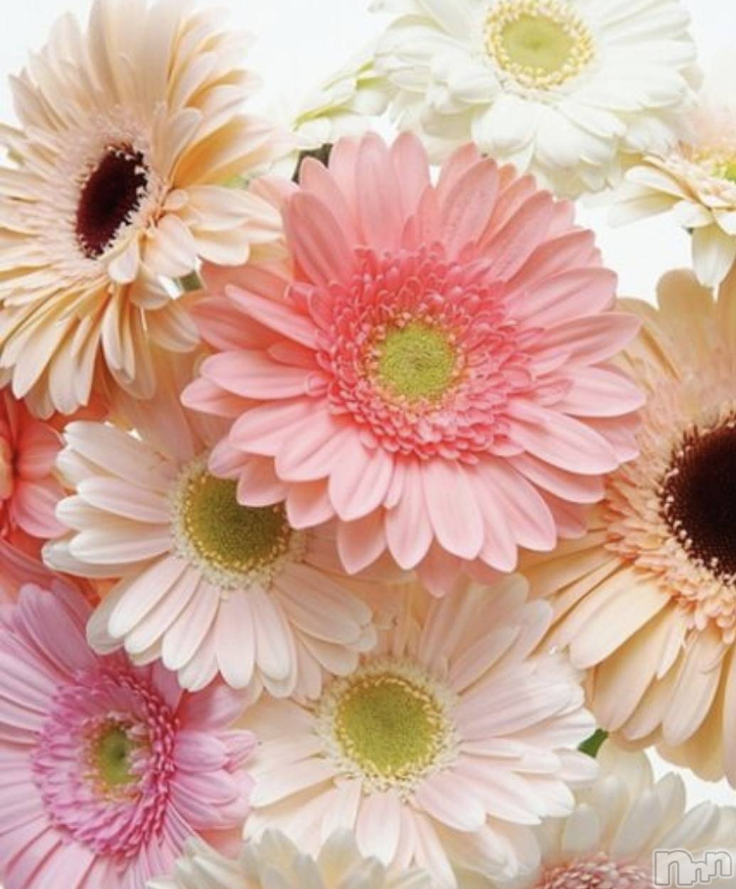 長岡デリヘルBIANCA～主人の知らない私～長岡店(ビアンカナガオカテン)一ノ瀬　ゆま(36)の2026年3月21日写メブログ「一ノ瀬ゆま」