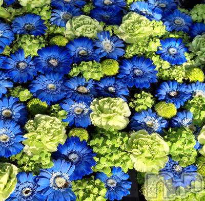 長岡デリヘル BIANCA～主人の知らない私～長岡店(ビアンカナガオカテン) 一ノ瀬　ゆま(36)の10月11日写メブログ「一ノ瀬ゆま」