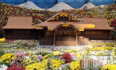 長岡デリヘル BIANCA～主人の知らない私～長岡店(ビアンカナガオカテン) 一ノ瀬　ゆま(36)の11月23日写メブログ「一ノ瀬ゆま」