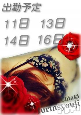 新潟デリヘル BIANCA～主人の知らない私～新潟店(ビアンカニイガタテン) 今野　ちあき(47)の11月8日写メブログ「来週の出勤予定」