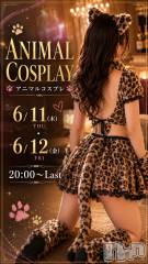 新発田キャバクラ・クラブ(ダブル)のお店速報「6/11」