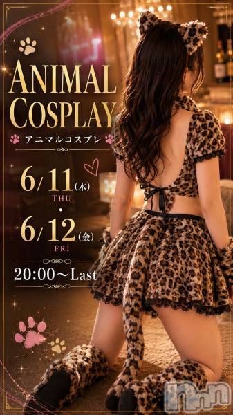 ��ȯ�ĥ���Х��顦�����double(���֥�) �� 2026ǯ6��12���̥�֥�����6/12��