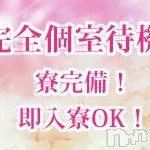 BIBLE～奥様の性書～ フォトギャラリー画像4