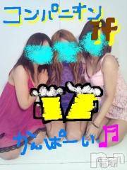 Ĺ襳ѥ˥󥯥ֻ򥳥ѥ˥󥯥 Amour(ࡼ)  2012ǯ831̥֥͵Υǥ磻磻ޤ