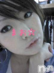 Ĺ襳ѥ˥󥯥ֻ򥳥ѥ˥󥯥 Amour(ࡼ)  2013ǯ107̥֥֥ѥ˥󥯥ifǤ