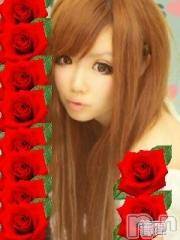 Ĺ襳ѥ˥󥯥ֻ򥳥ѥ˥󥯥 Amour(ࡼ)  2014ǯ531̥֥֥ѥ˥iǤ